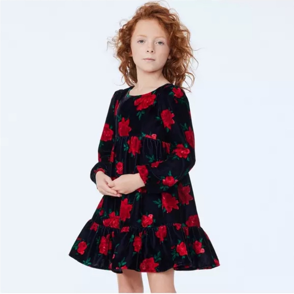 Janie and Jack #19A Velvet Rose Dress Dark Marine Rose Print Dress SZ 6 Holiday